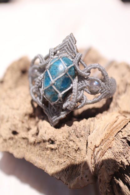 【Light of the Unknown】（祕境之光）